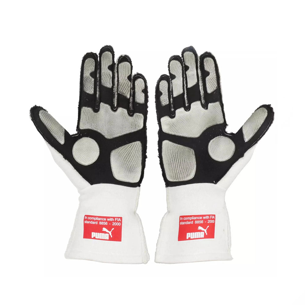 Fernando Alonso 2010 Japanese GP F1 Racing Gloves | Brex International