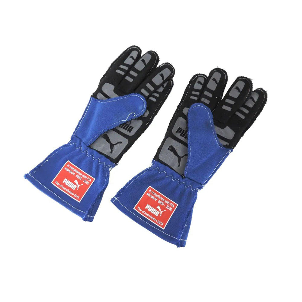 Valtteri Bottas 2018 F1 Racing Gloves | Brex International