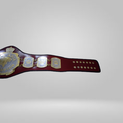 ALL Asia Wrestling Championship Inspired Belt - photo 3 of 3 | Brex International