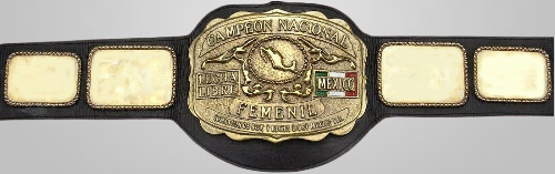 Campeon Nacional LUCHA LIBRE Mexico Comision Femenil National Champion Inspired Belt - photo 1 of 1 | Brex International