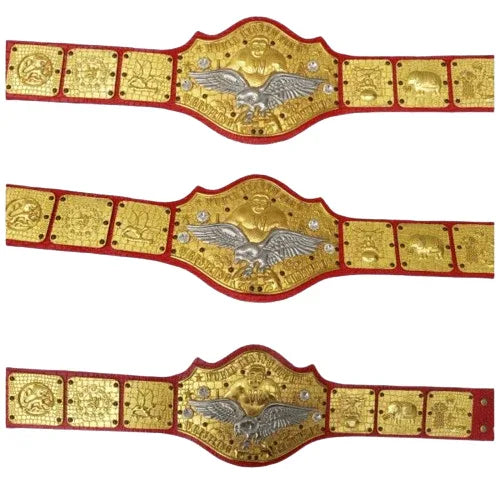 IWA Superstar World Heavyweight Wrestling Champion Inspired Belt - photo 1 of 1 | Brex International