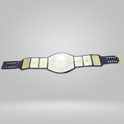 NEW Replica WWF Junior Wrestling Championship Inspired Belt - photo 2 of 2 | Brex International