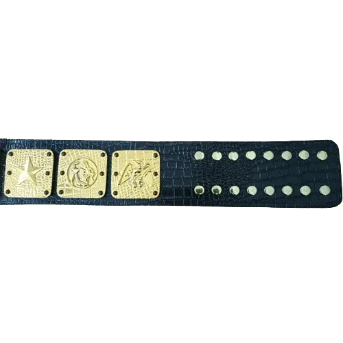NWA Americas Heavyweight Wrestling Champion Inspired Belt - photo 3 of 3 | Brex International
