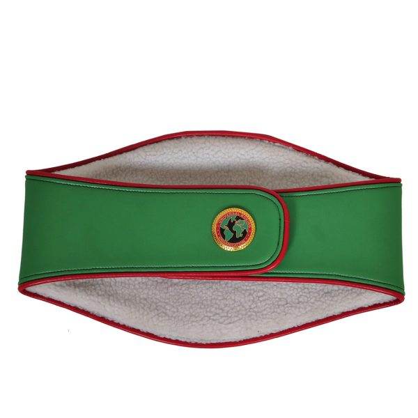 UBO Title Boxing Championship Inspired Belt - photo 2 of 2 | Brex International
