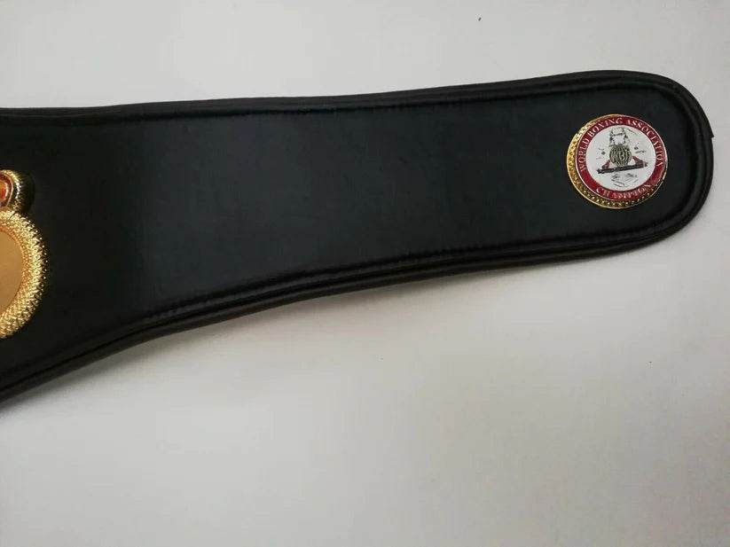 WBA Title Boxing Championship Inspired Belt - photo 7 of 7 | Brex International