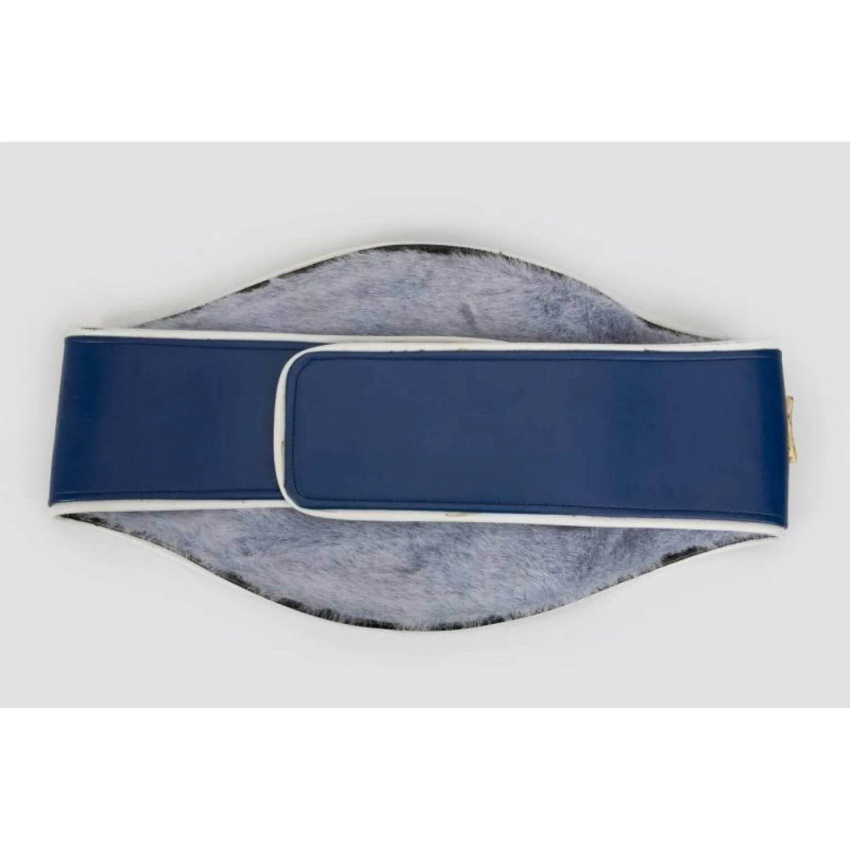 WBF (World Boxing Federation) Boxing Championship Inspired Collectible Belt - photo 4 of 4 | Brex International