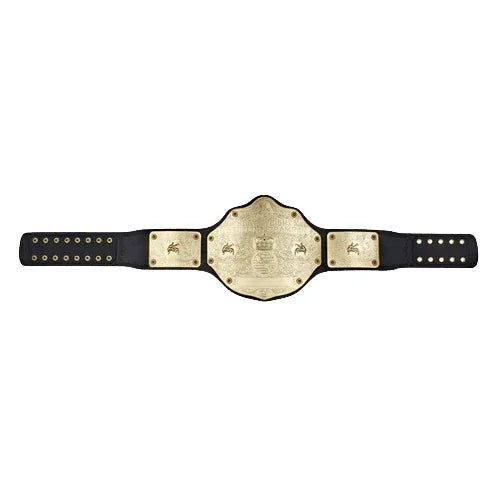 WWE Big Gold World Heavyweight Commemorative Championship Inspired Belt - photo 4 of 4 | Brex International