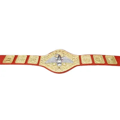 WWWF Pedro Morales Heavyweight Wrestling Champion Inspired Belt - photo 3 of 3 | Brex International