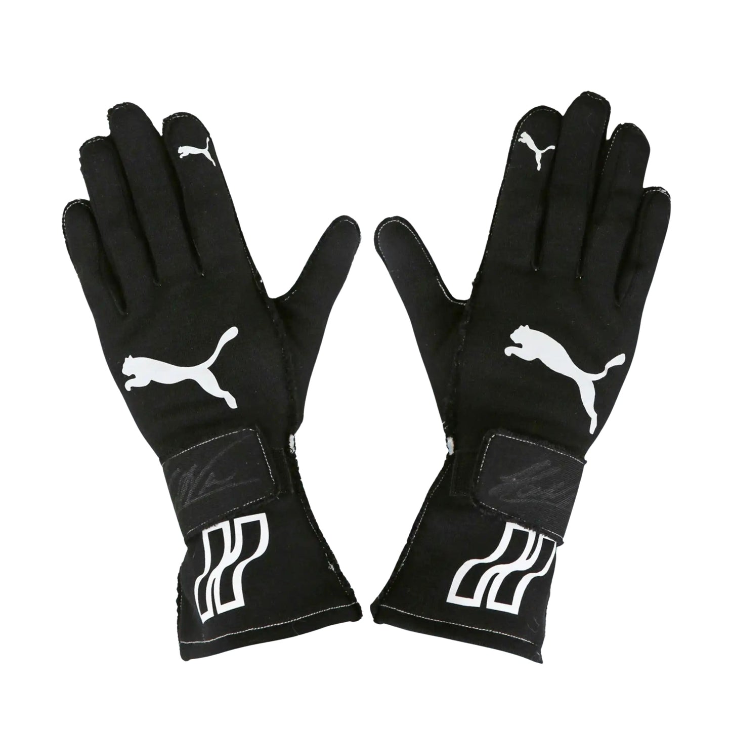 Helio Castroneves 2017-18 IndyCar IMSA F1 Racing Gloves | Brex International