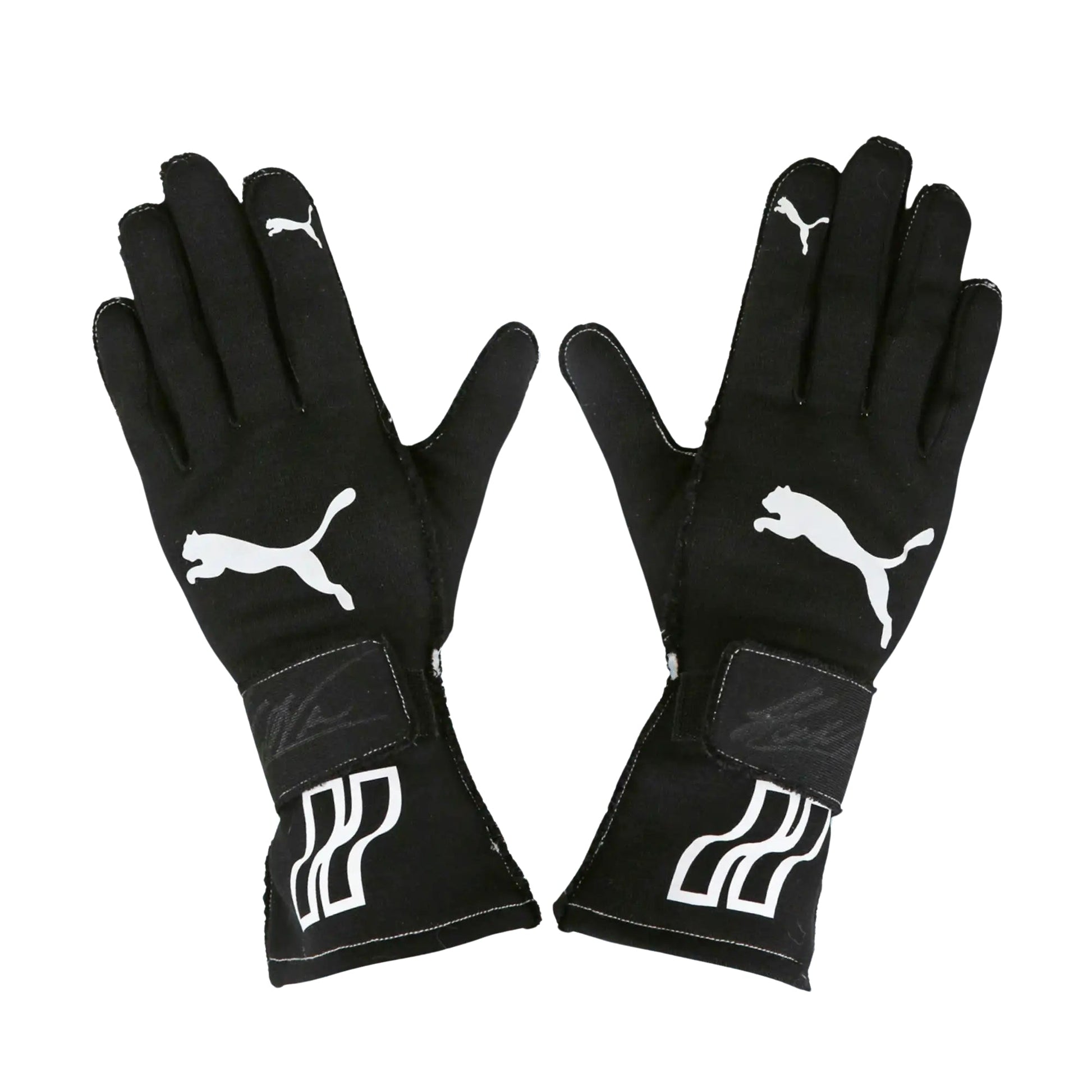 Helio Castroneves 2017-18 IndyCar IMSA F1 Racing Gloves | Brex International