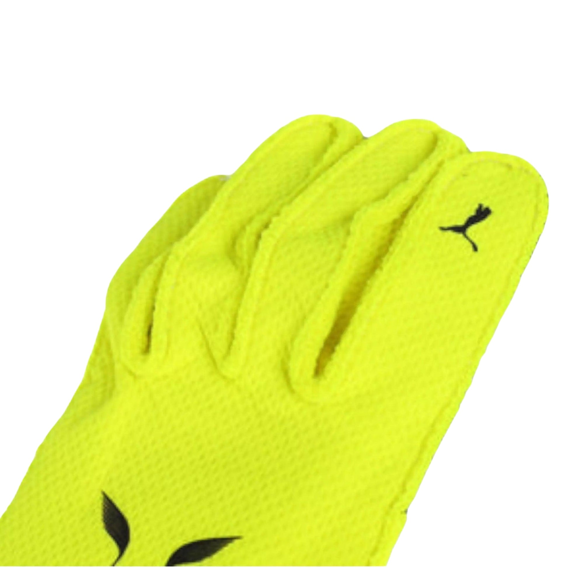 Lewis Hamilton 2023 F1 Racing Gloves | Brex International