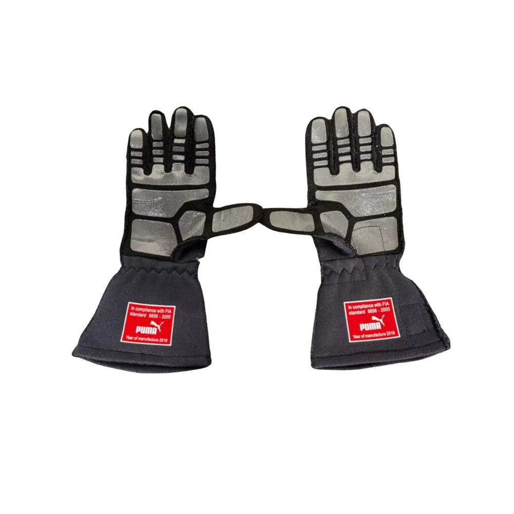 Max Verstappen 2018 F1 Racing Gloves | Brex International