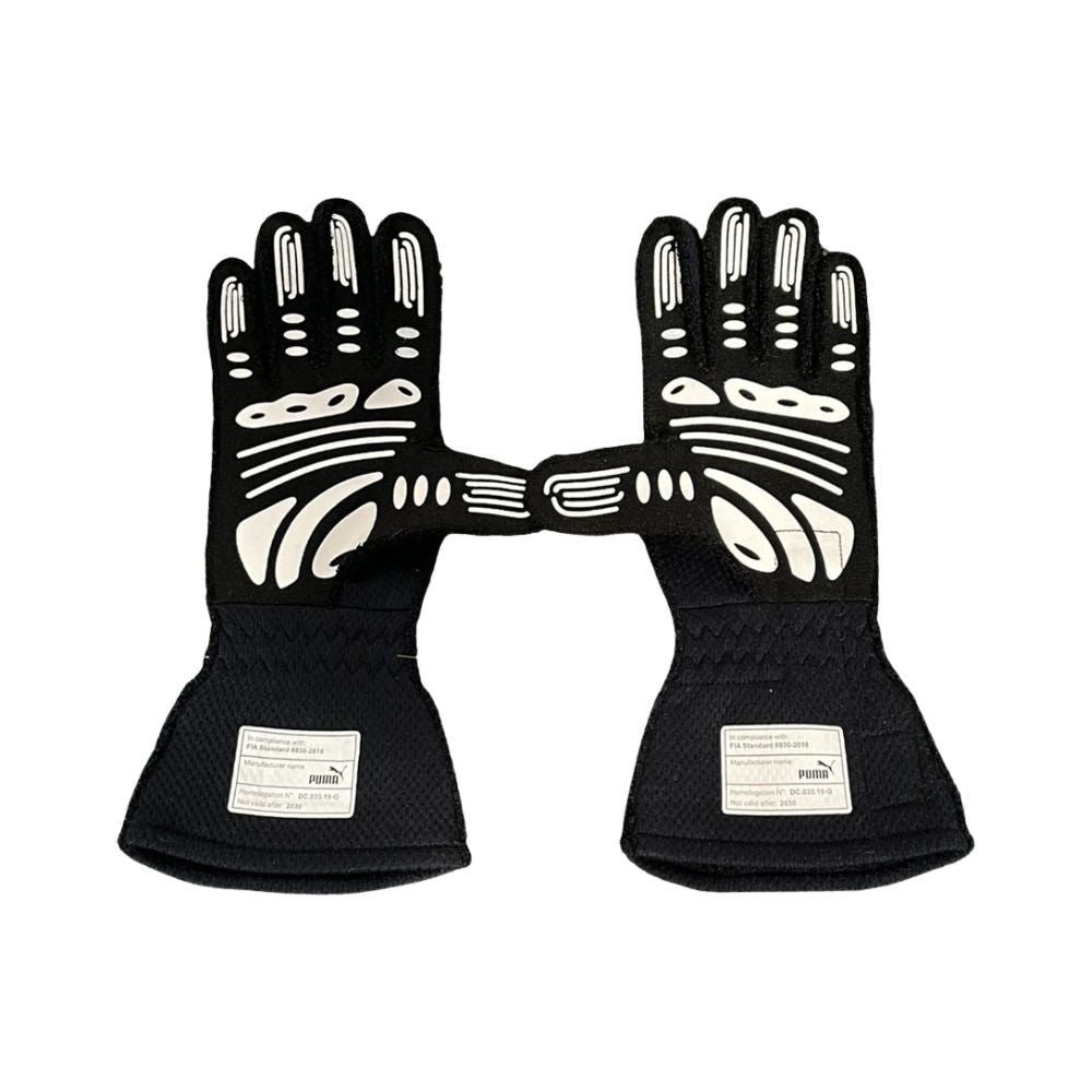 Max Verstappen 2020 F1 Racing Gloves | Brex International