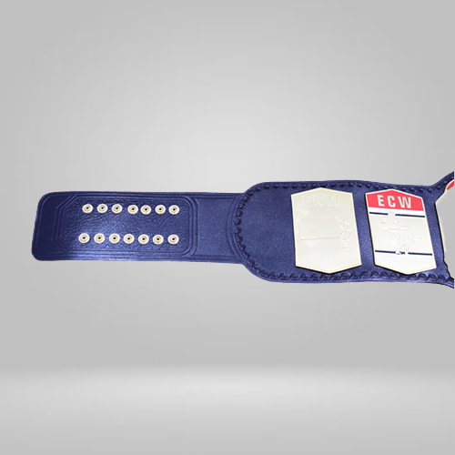 1st ECW Tag Team Wrestling Championship Replica Inspired Belt - photo 2 of 2 | Brex International