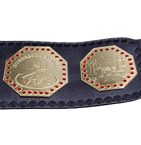 AAA Mega Campeon Mexico Wrestling Championship Inspired Title - photo 5 of 7 | Brex International