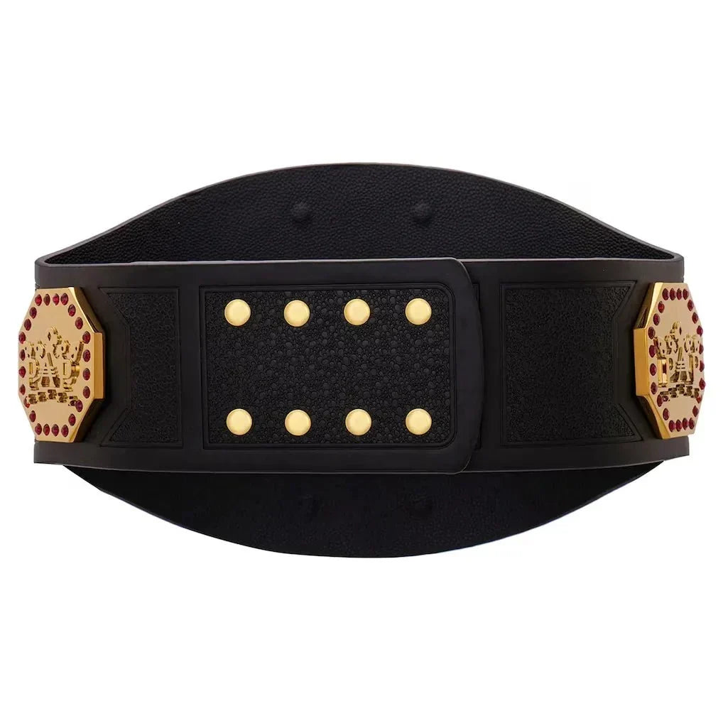 AAA Mega Champion Inspired Collectible Title Belt - photo 4 of 8 | Brex International