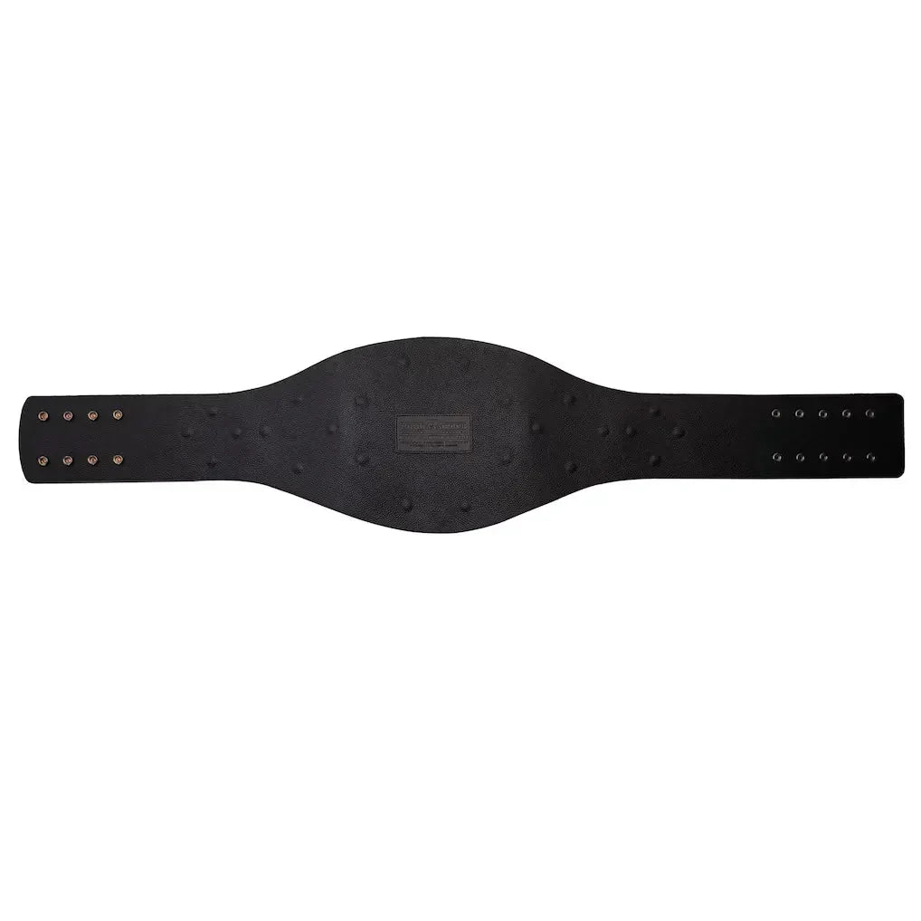 AAA Mega Champion Inspired Collectible Title Belt - photo 6 of 8 | Brex International