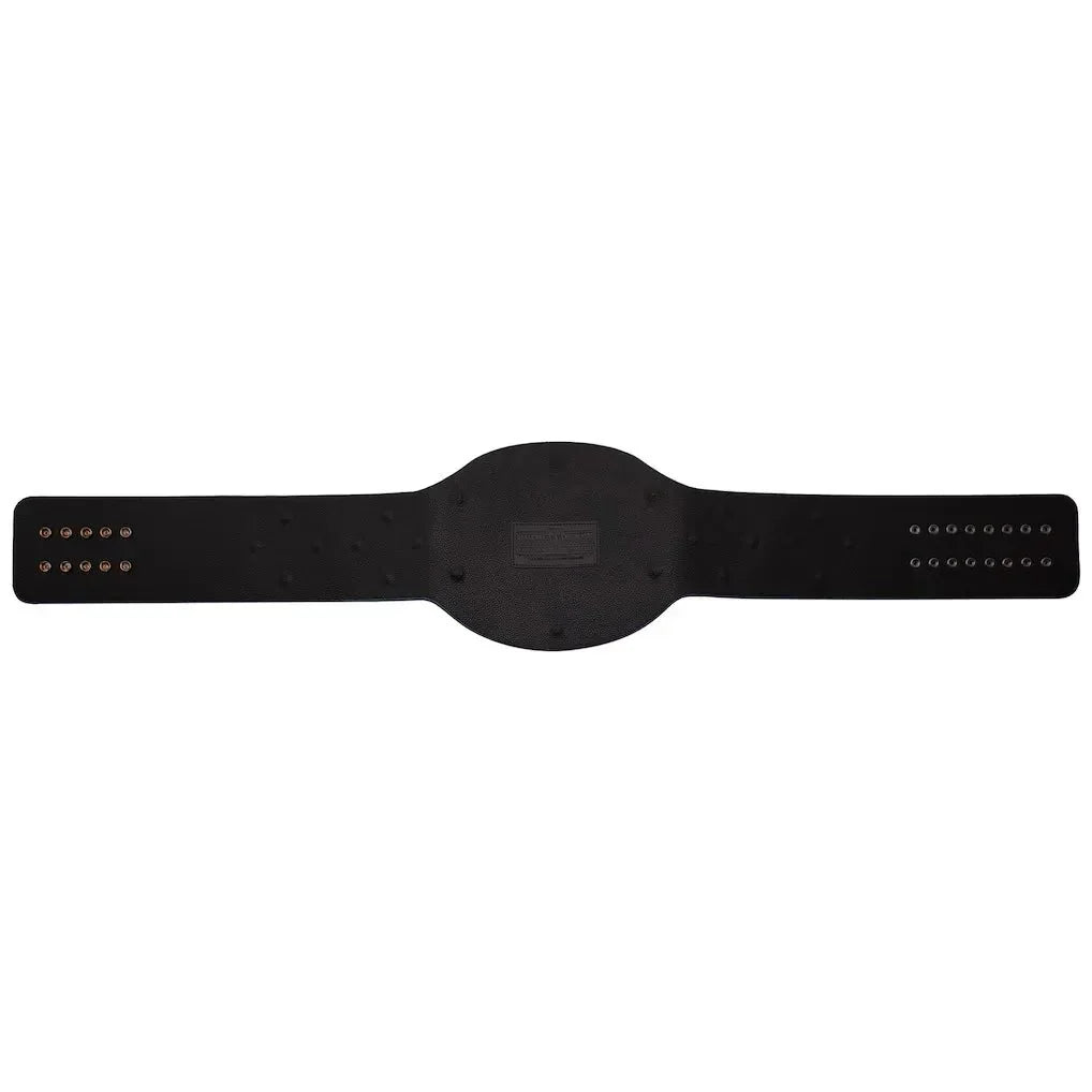 AAA World Mixed Tag Team Championship Inspired Title Belt - photo 6 of 8 | Brex International