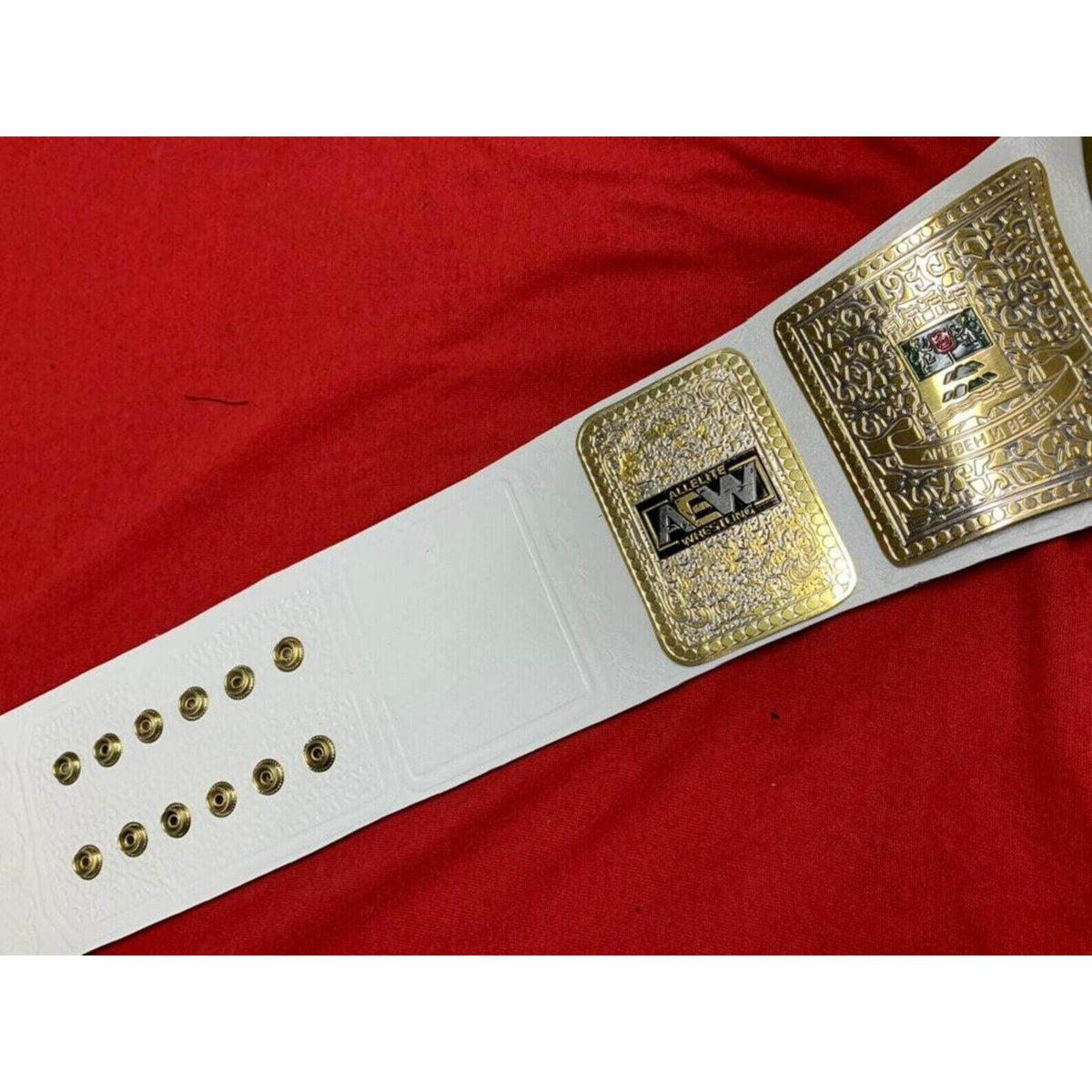 AEW TNT Championship Inspired Brass Plate Title Belt - photo 5 of 8 | Brex International