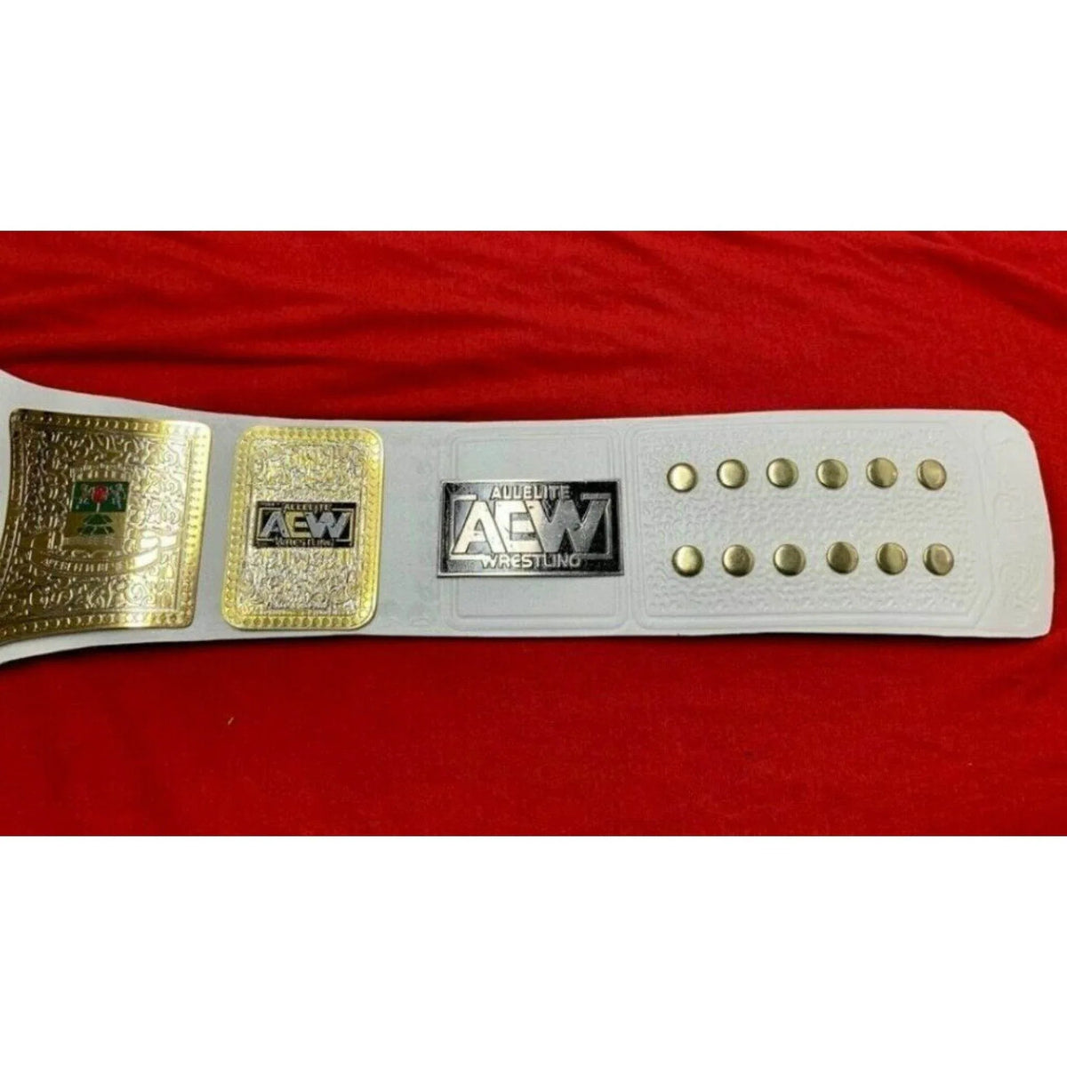 AEW TNT Championship Inspired Brass Plate Title Belt - photo 6 of 8 | Brex International