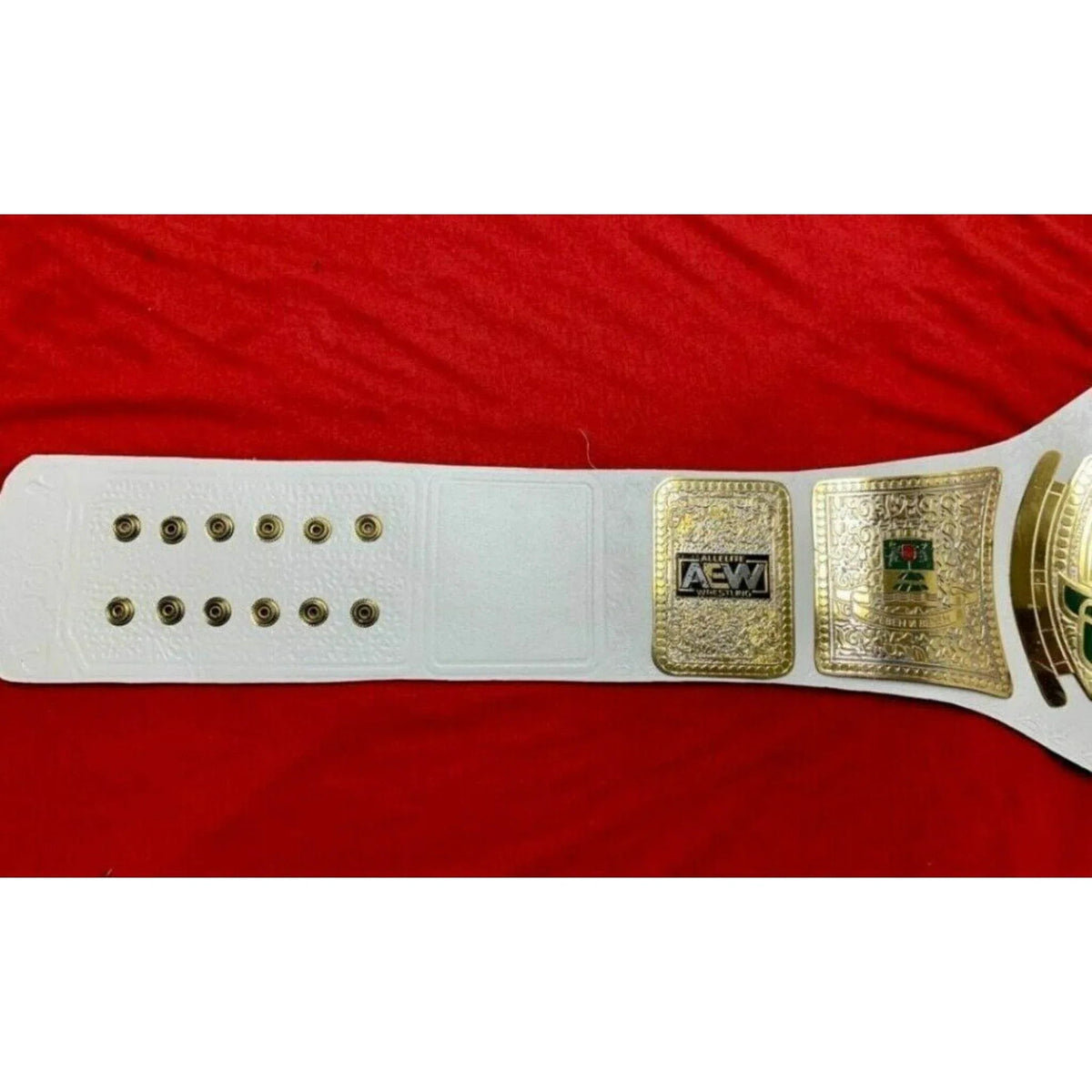 AEW TNT Championship Inspired Brass Plate Title Belt - photo 7 of 8 | Brex International
