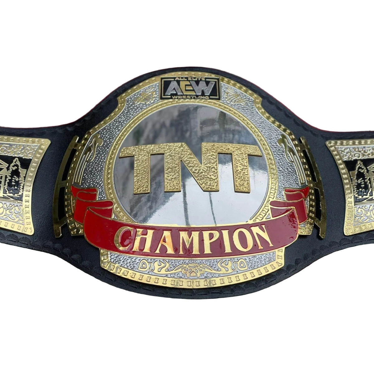 AEW TNT Championship Inspired Brass Wrestling Belt - photo 1 of 7 | Brex International