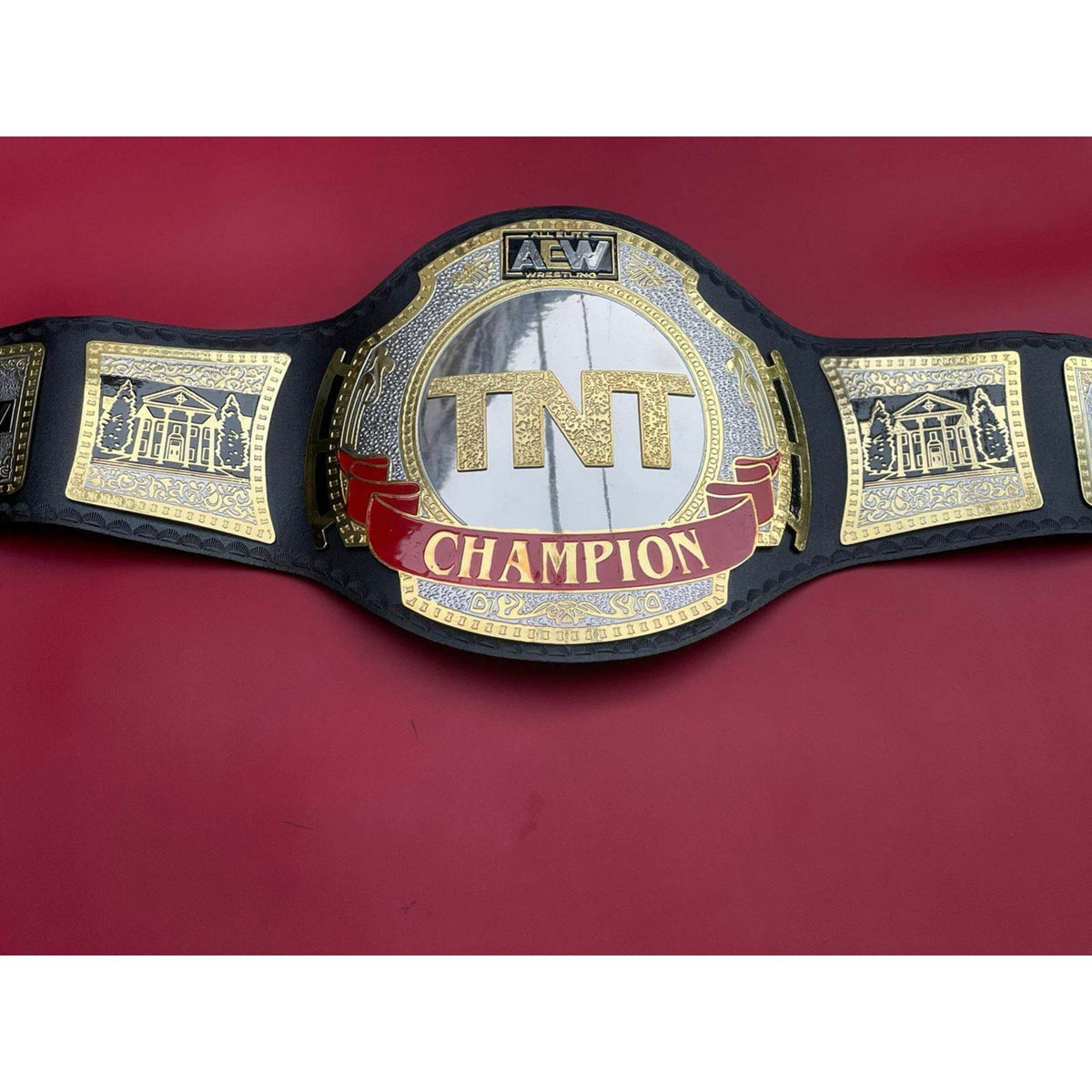 AEW TNT Championship Inspired Brass Wrestling Belt - photo 7 of 7 | Brex International