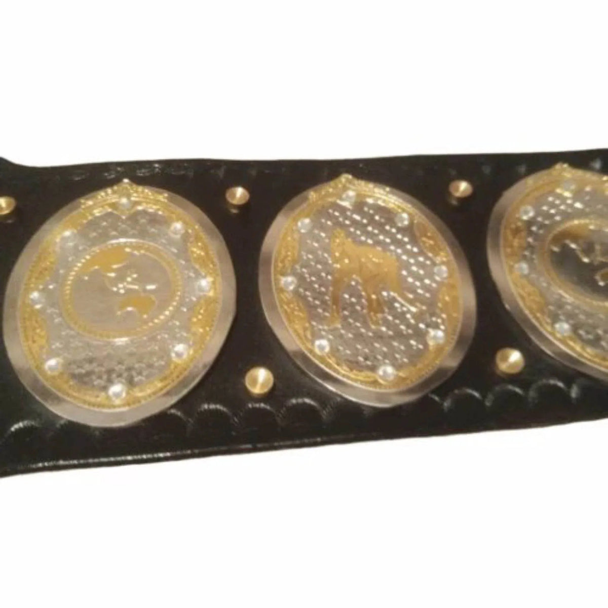 AEW Women's World Championship Inspired Brass Display Title Belt - photo 2 of 8 | Brex International