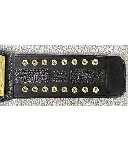 AEW Women's World Championship Inspired Brass Wrestling Title Belt - photo 3 of 3 | Brex International