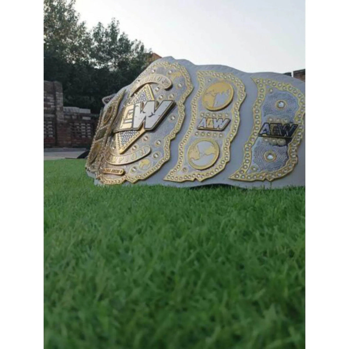 AEW World Championship Inspired Brass Plate Wrestling Belt - photo 4 of 8 | Brex International