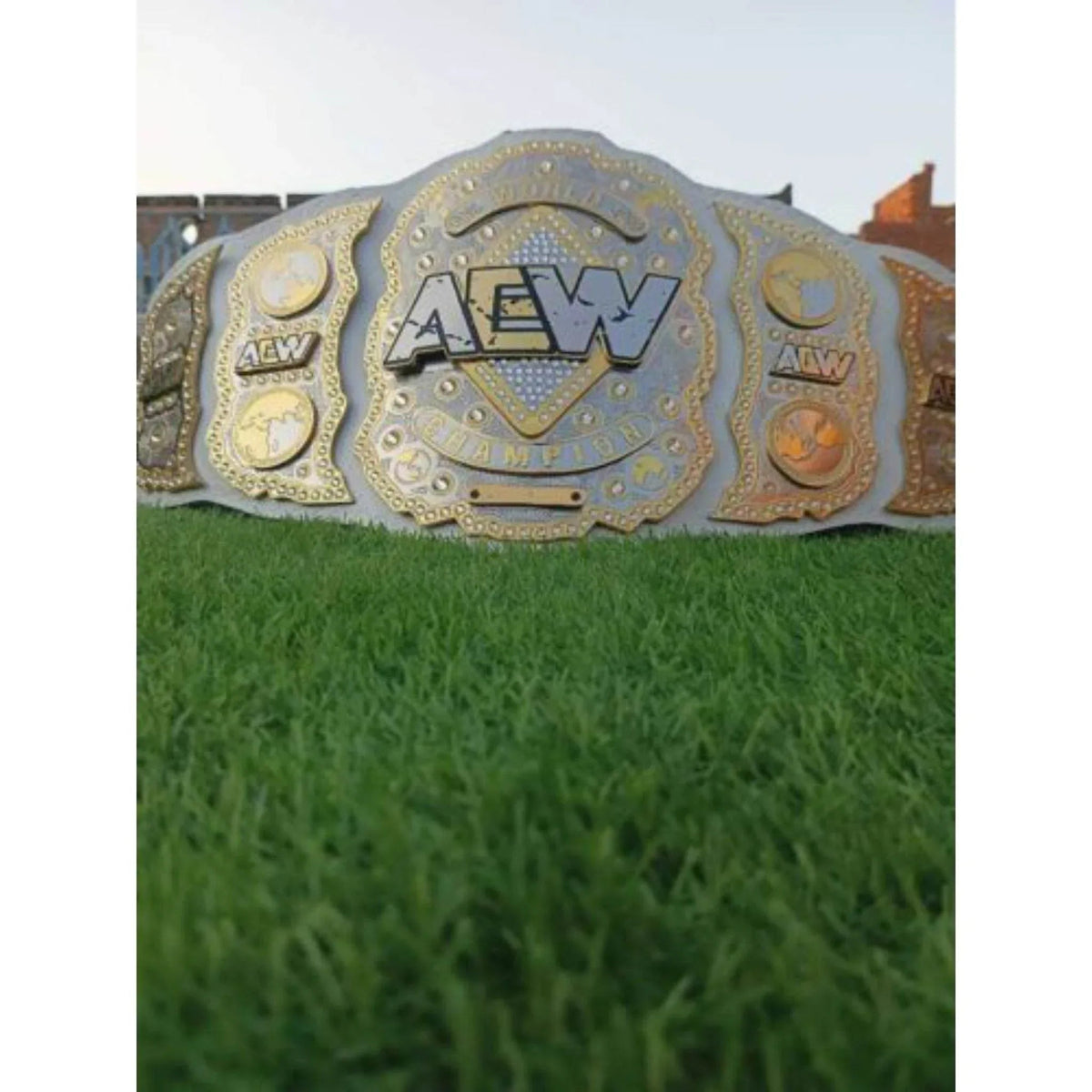 AEW World Championship Inspired Brass Plate Wrestling Belt - photo 5 of 8 | Brex International