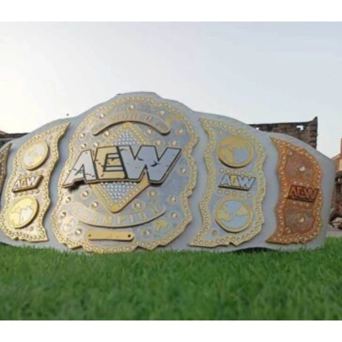 AEW World Championship Inspired Brass Plate Wrestling Belt - photo 6 of 8 | Brex International