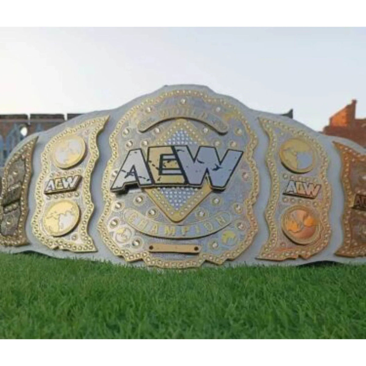 AEW World Championship Inspired Brass Plate Wrestling Belt - photo 8 of 8 | Brex International