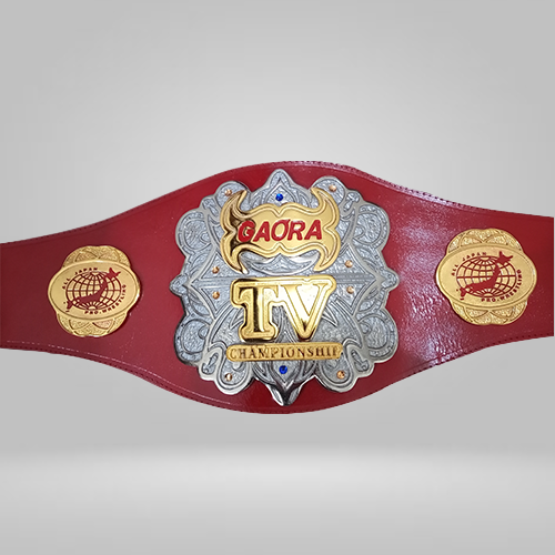All Japan Pro Wrestling GAORA TV Title Champion Inspired Belt Seiya Dupree Sushi Shuji - photo 1 of 3 | Brex International