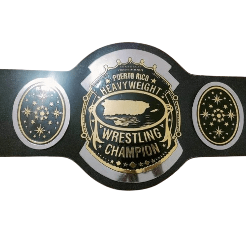 AWA Southern Heavyweight Dual Plated Championship Inspired Title Belt - photo 1 of 5 | Brex International