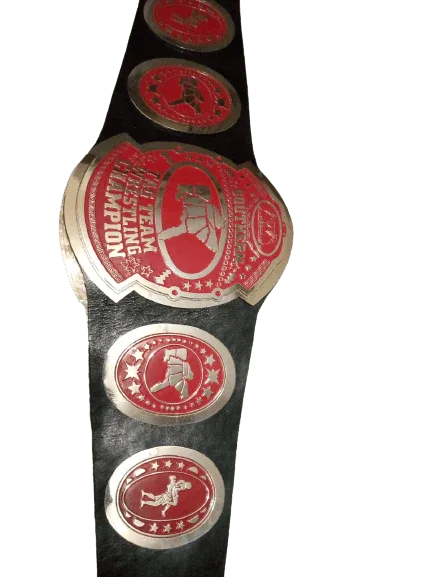 AWA Southern Tag Team Wrestling Championship Inspired Title Belt - photo 2 of 3 | Brex International