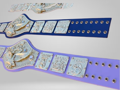 Bob Backlund WWWF Heavyweight Title Wrestling Champion Inspired Belt Old Championship - photo 3 of 3 | Brex International