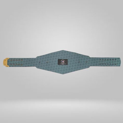 Boston Red Sox WWE Legacy Inspired Title Belt - photo 5 of 6 | Brex International
