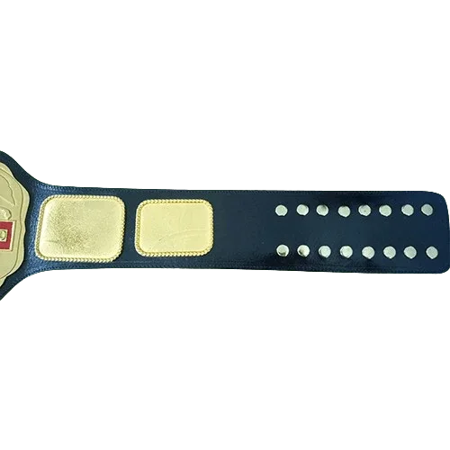 Campeon LUCHA LIBRE Mexico National Champion Inspired Belt - photo 2 of 3 | Brex International
