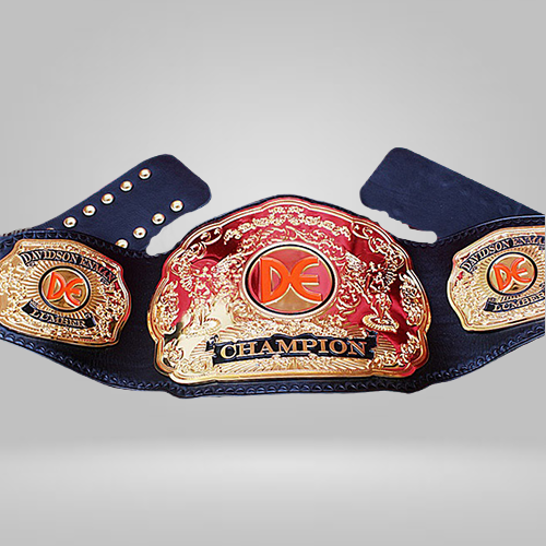 De Lumber Gold Wrestling Championship Inspired Belt - photo 2 of 2 | Brex International