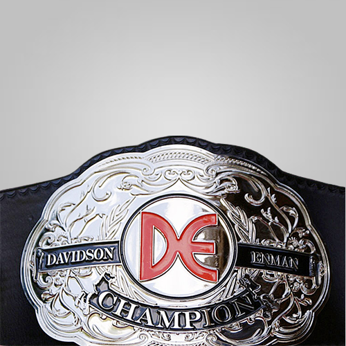 De Lumber Nickel Wrestling Champion Inspired Belt - photo 2 of 2 | Brex International