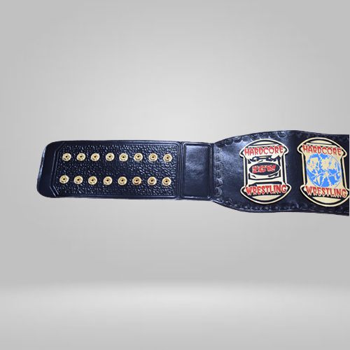 ECW Heavyweight Wrestling Championship Replica Inspired Title Belt - photo 2 of 5 | Brex International