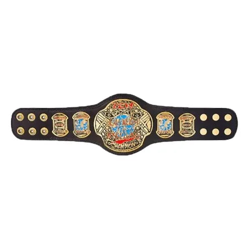 ECW World Heavyweight Championship Belt Kids Inspired - photo 1 of 1 | Brex International