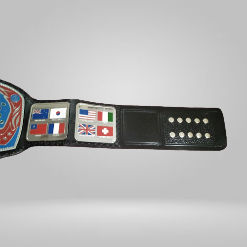 Georgia Television Championship Replica Inspired Belt - photo 3 of 4 | Brex International