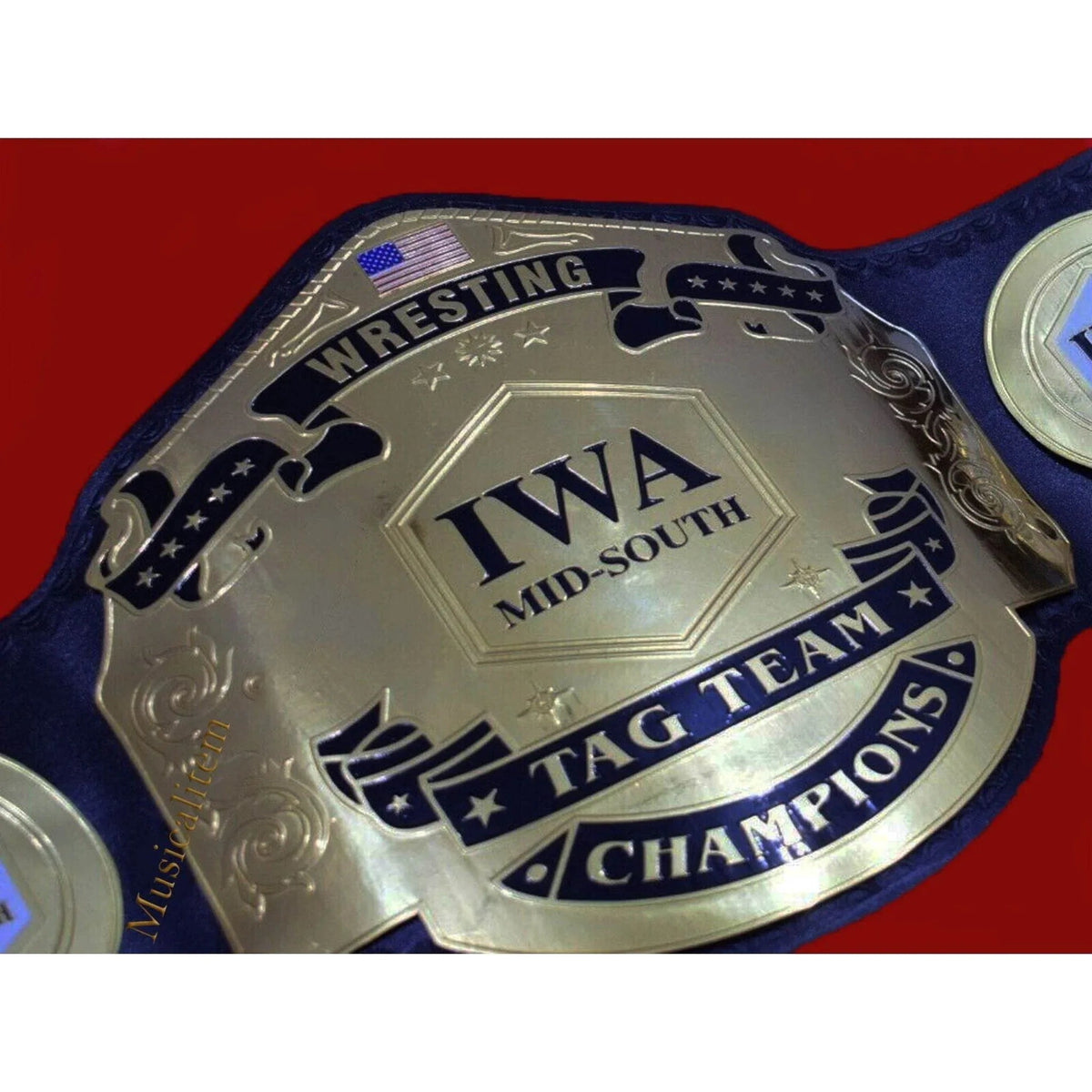 IWA Mid South Tag Team Wrestling Championship Inspired Title Belt - photo 5 of 7 | Brex International