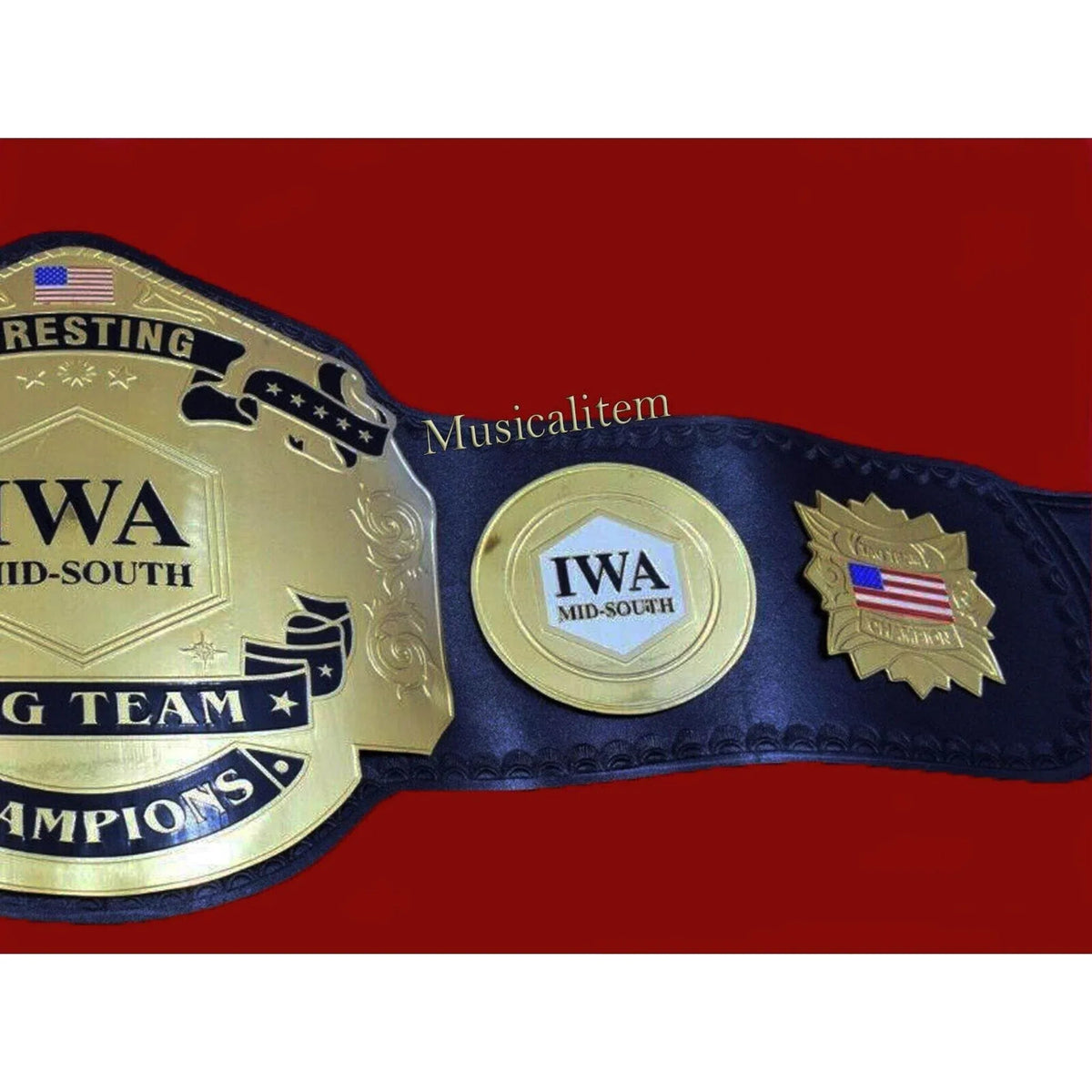 IWA Mid South Tag Team Wrestling Championship Inspired Title Belt - photo 6 of 7 | Brex International