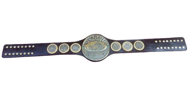 IWGP International Wrestling Grand Prix Junior Jr. Champion Inspired Belt - photo 2 of 2 | Brex International