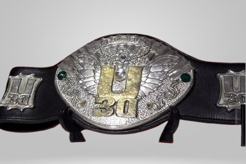 IWGP U-30 Openweight Championship Inspired Belt Openweight New Japan U 30 NJPW Old - photo 1 of 1 | Brex International