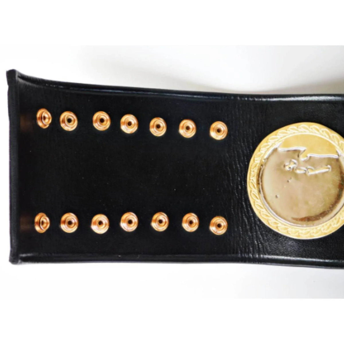 IWGP V1 Series Wrestling Heavyweight Championship Inspired Title Belt - photo 7 of 10 | Brex International