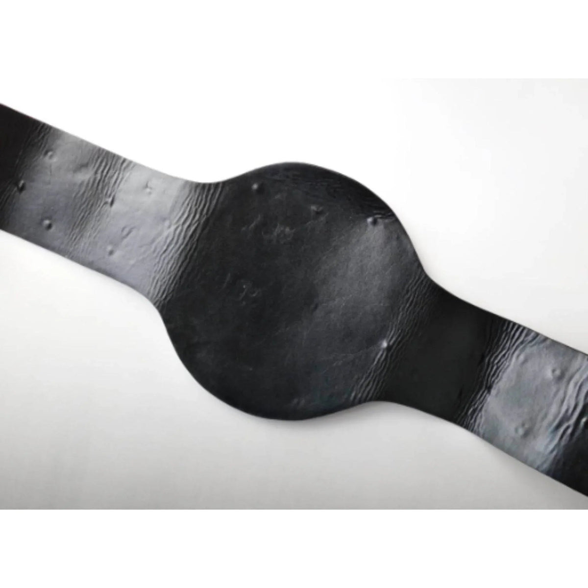 IWGP V1 Series Wrestling Heavyweight Championship Inspired Title Belt - photo 9 of 10 | Brex International